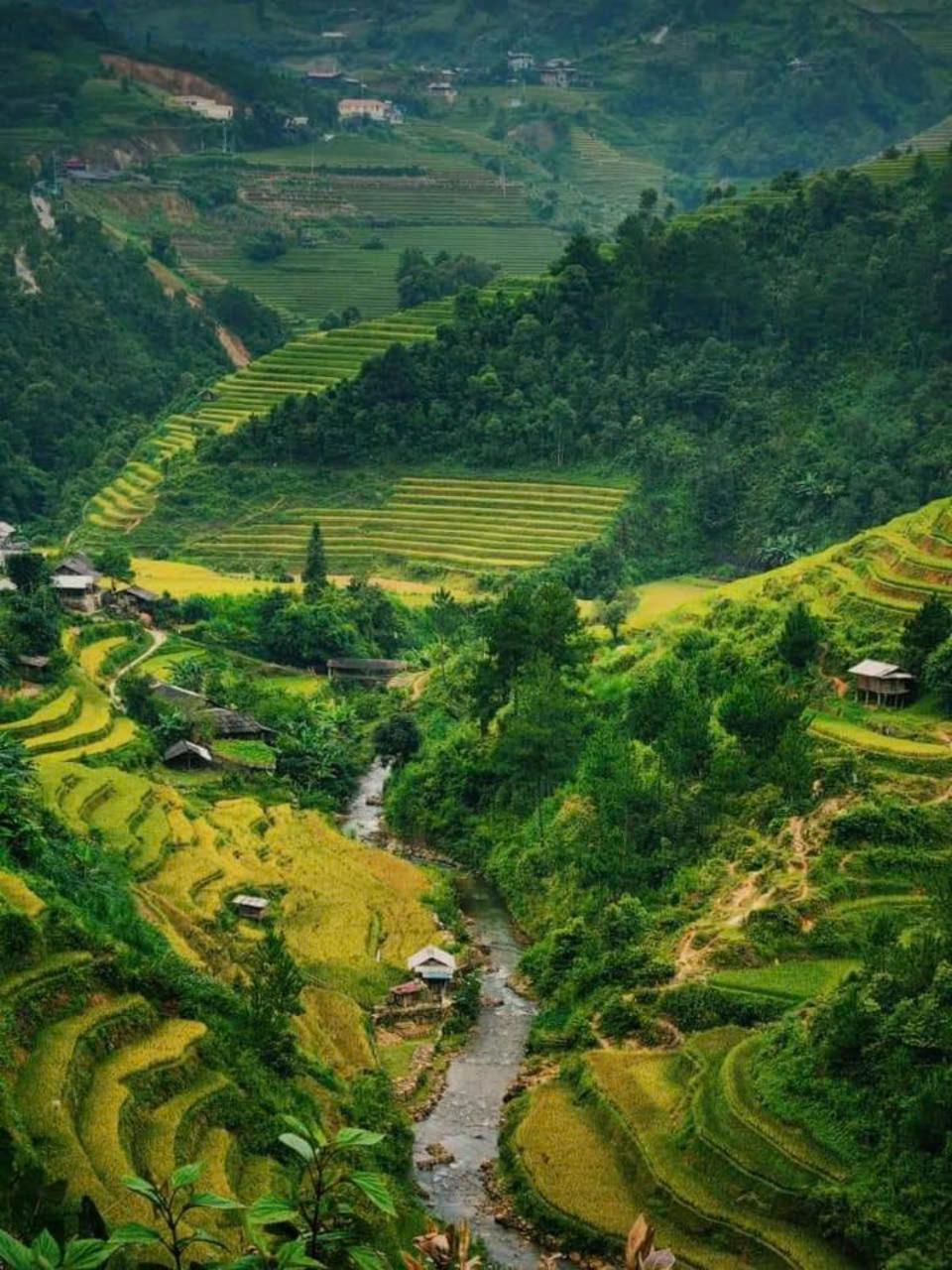 Mu Cang Chai Eco Home מראה חיצוני תמונה