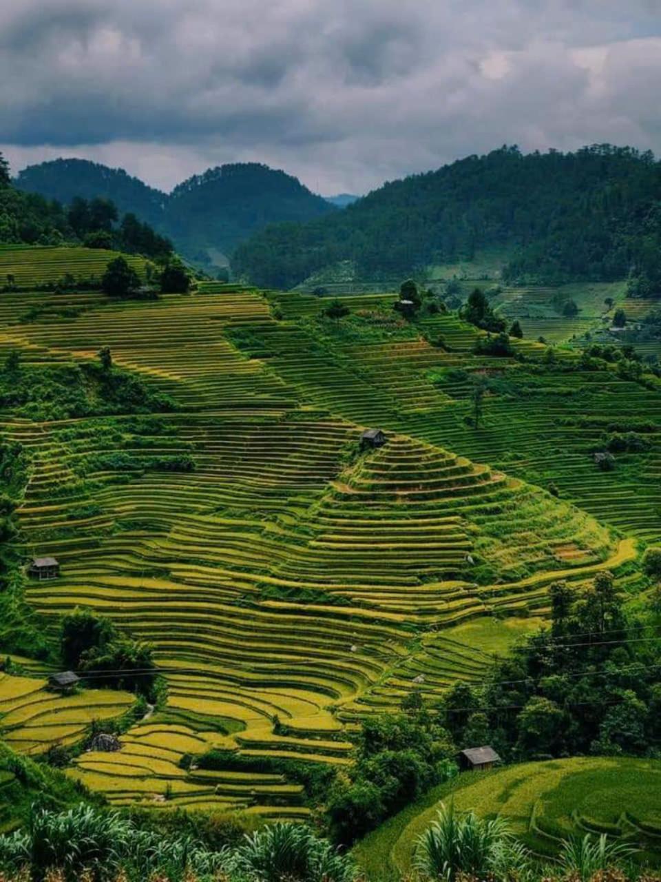 Mu Cang Chai Eco Home מראה חיצוני תמונה