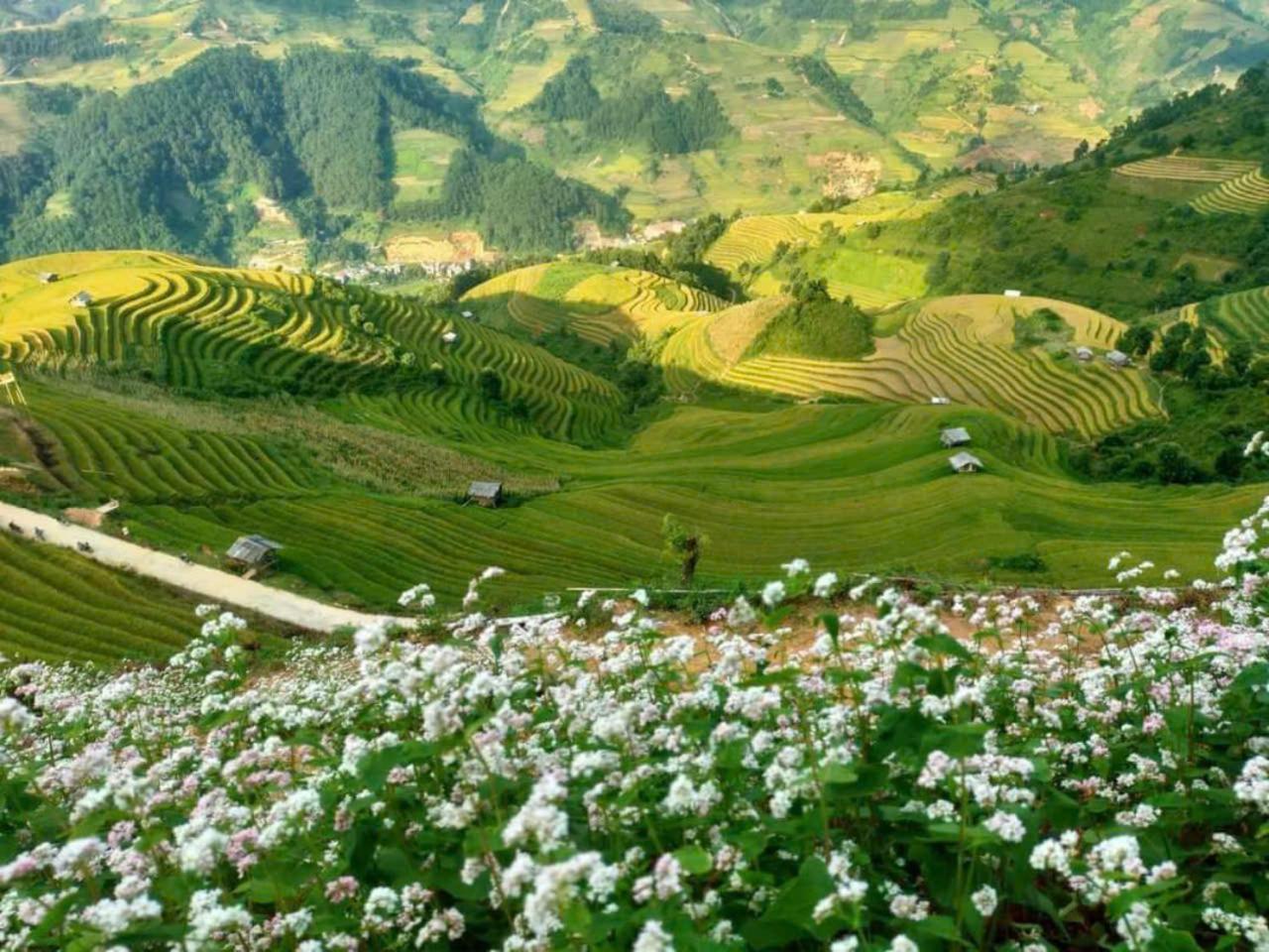 Mu Cang Chai Eco Home מראה חיצוני תמונה