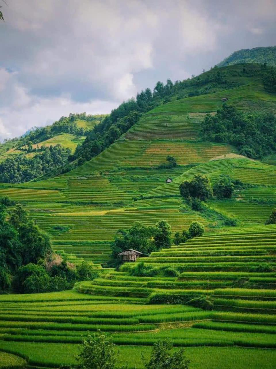 Mu Cang Chai Eco Home מראה חיצוני תמונה