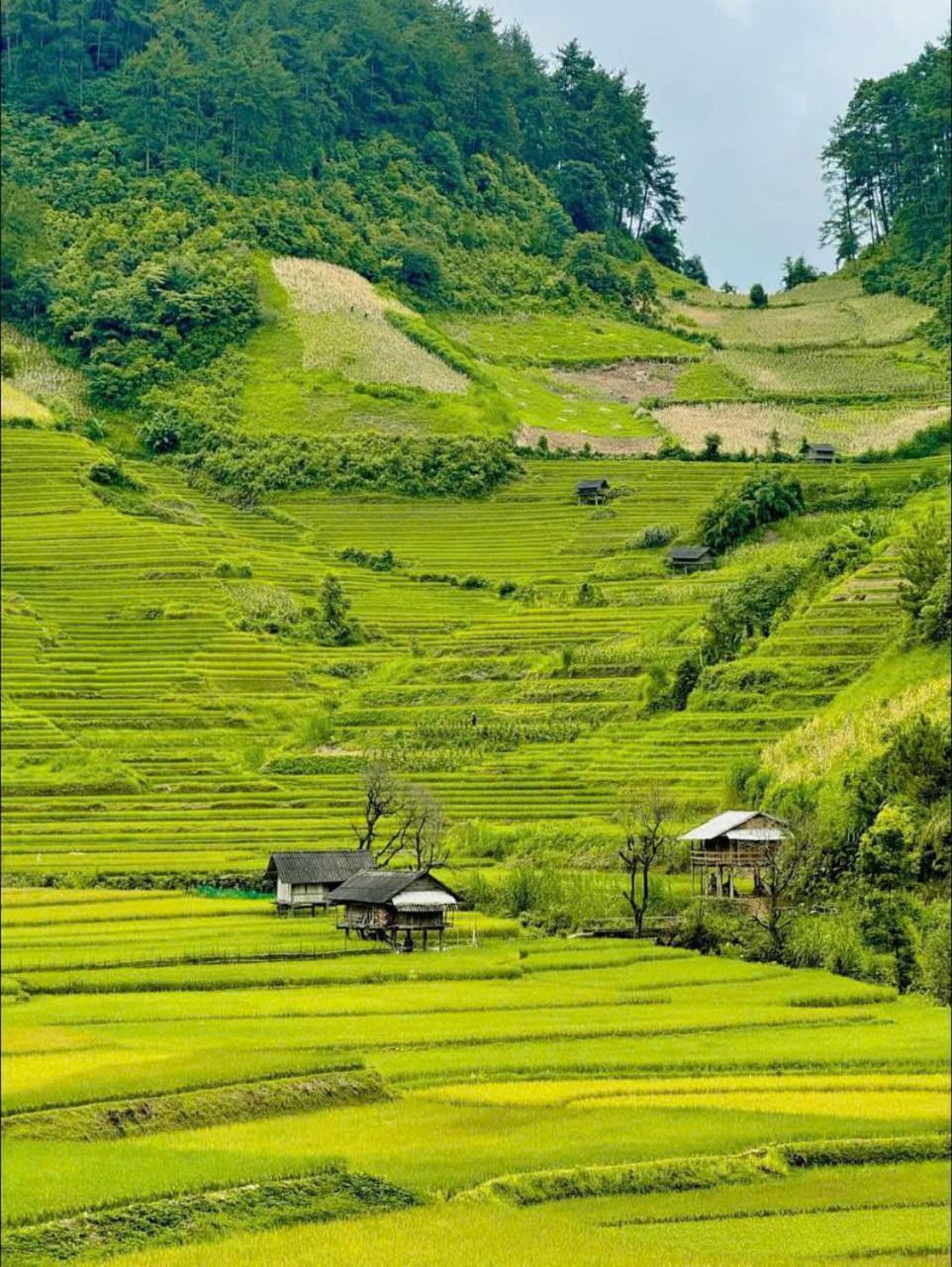 Mu Cang Chai Eco Home מראה חיצוני תמונה