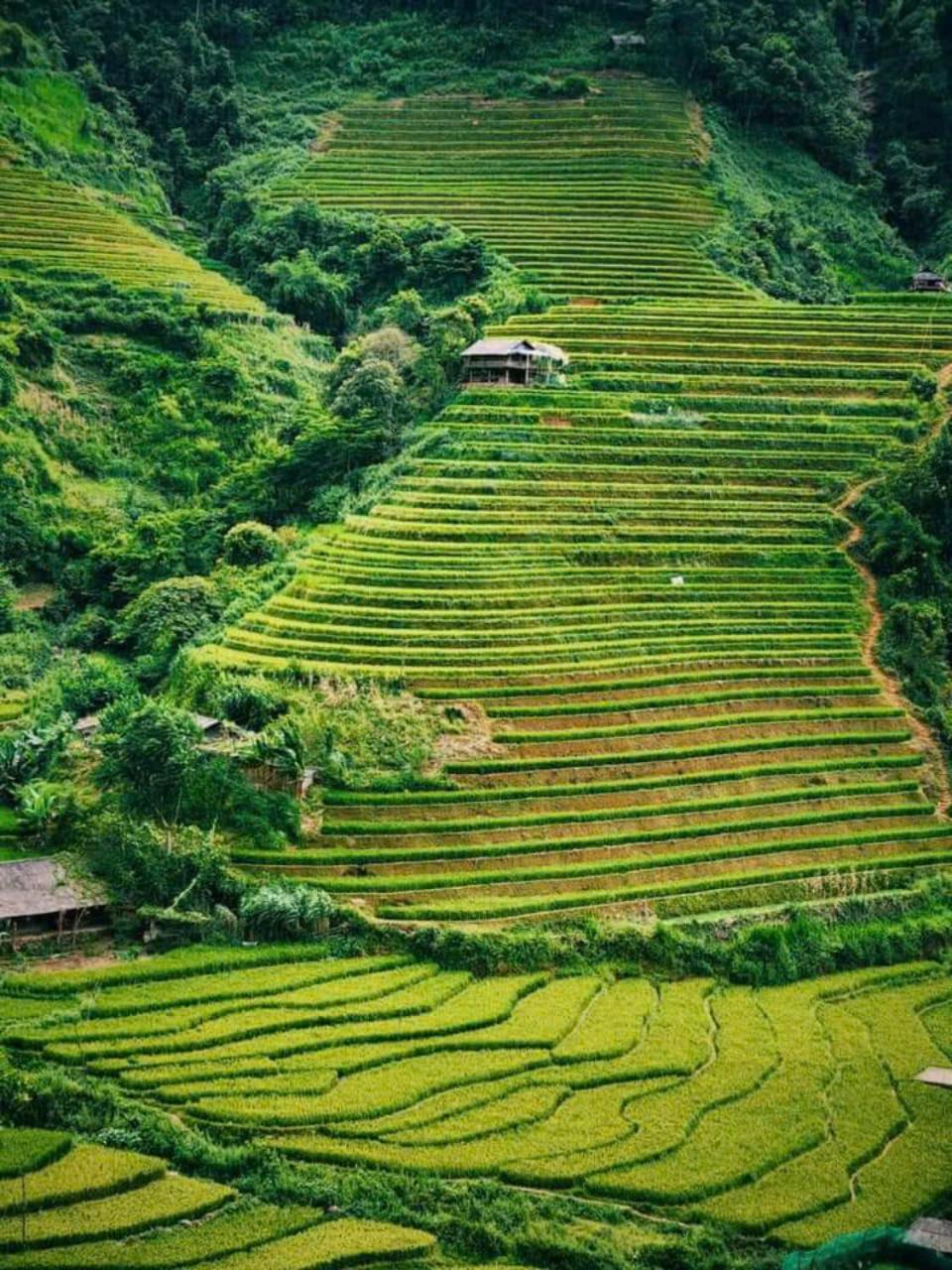 Mu Cang Chai Eco Home מראה חיצוני תמונה